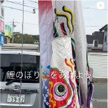 鯉のぼりをあげよう